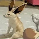 eebee