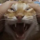 agony