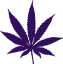purweed