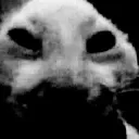 xddespair
