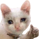 ST_sad_thumbsup Discord Emoji