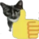 kittythumup Discord Emoji