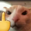 Cat Finger Discord Emoji