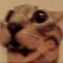 mytruereaction