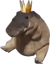 Croco