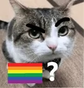 finogay
