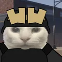 light_cat_secr