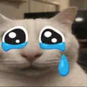 catcry