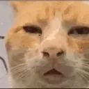 huh