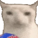 verycat