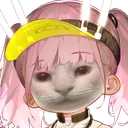 taischcat