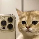 kit_post kit_post