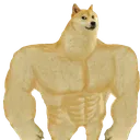 lc_chaddoge