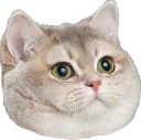 catheavybreathin