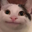 politecat