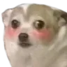 pho