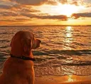 atardecer atardecer
