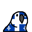 quebecparrot quebecparrot