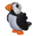 puffin