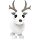 arcticreindeer