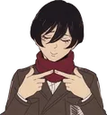 abp_Mikasa Discord Emoji