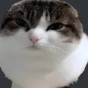 irlharganeth