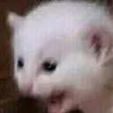 aaaaa