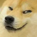 evildoge evildoge