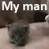 CImyman