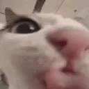 CIlunalick