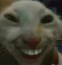 rat_hehe