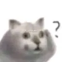 Cat_huh