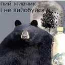 DrinkZhivchik