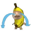 CryingCat CryingCat
