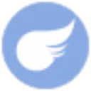 flying_