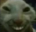xdd