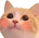 blushycat
