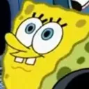 welpbob welpbob