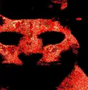 evilcat