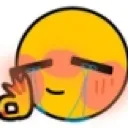 sadbutokay Discord Emoji