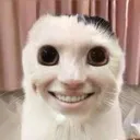 Smiling Cat Discord Emoji