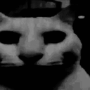 g_dubiouskat Discord emoji