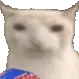catWatchingDrama catWatchingDrama
