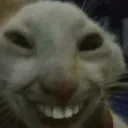 smilecat