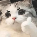 Cat Thumbs Up cat_thumbs_up Discord Emoji
