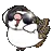 birbmustangfabulousspin