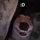 emoji_24 emoji_24
