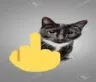 cat_fu Discord Emoji