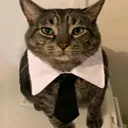 elgatosuit