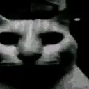 UncannyCat